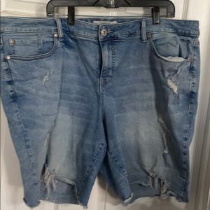 Torrid distressed bermudas size 24
